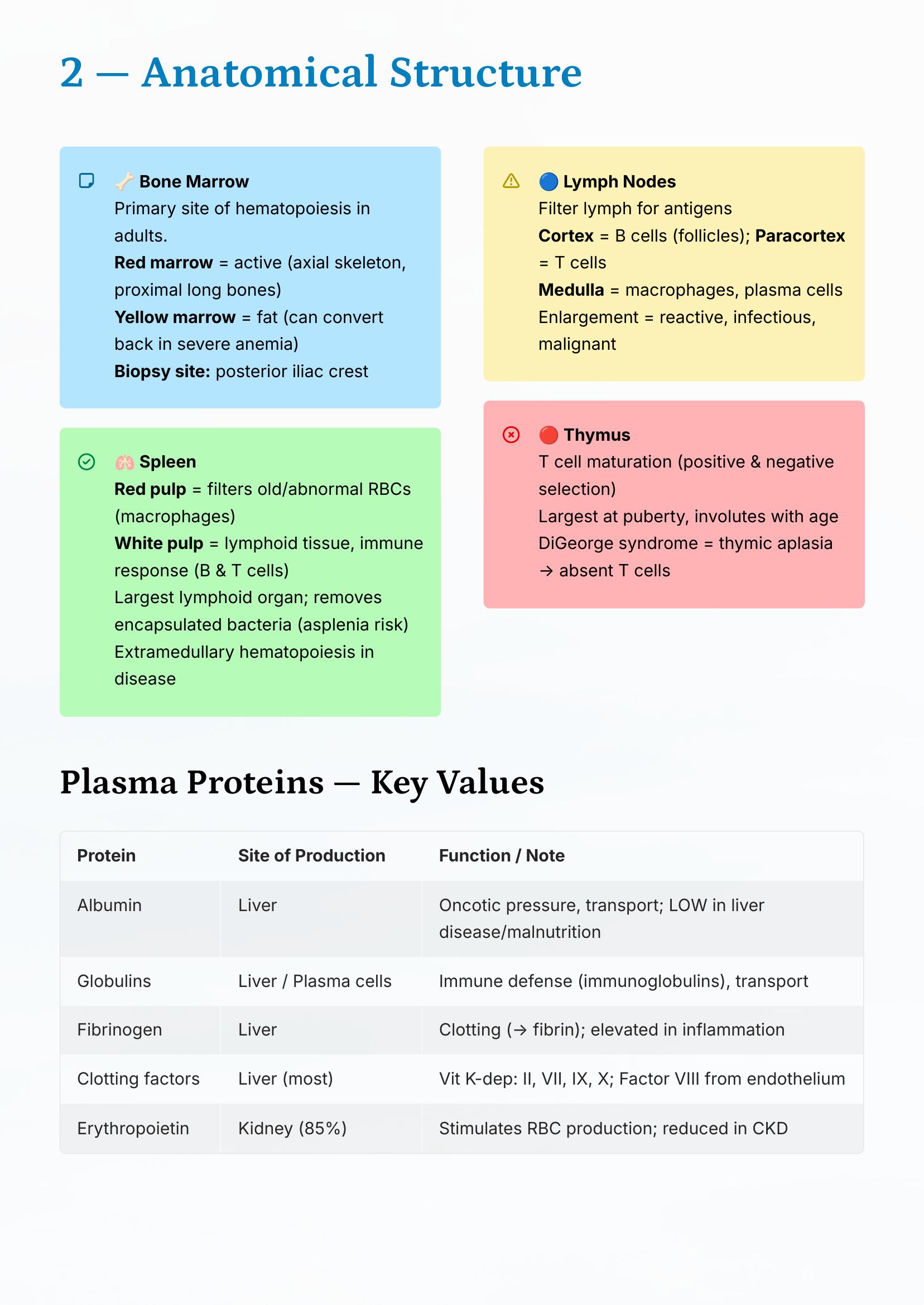 Hematology — Anatomical Structure