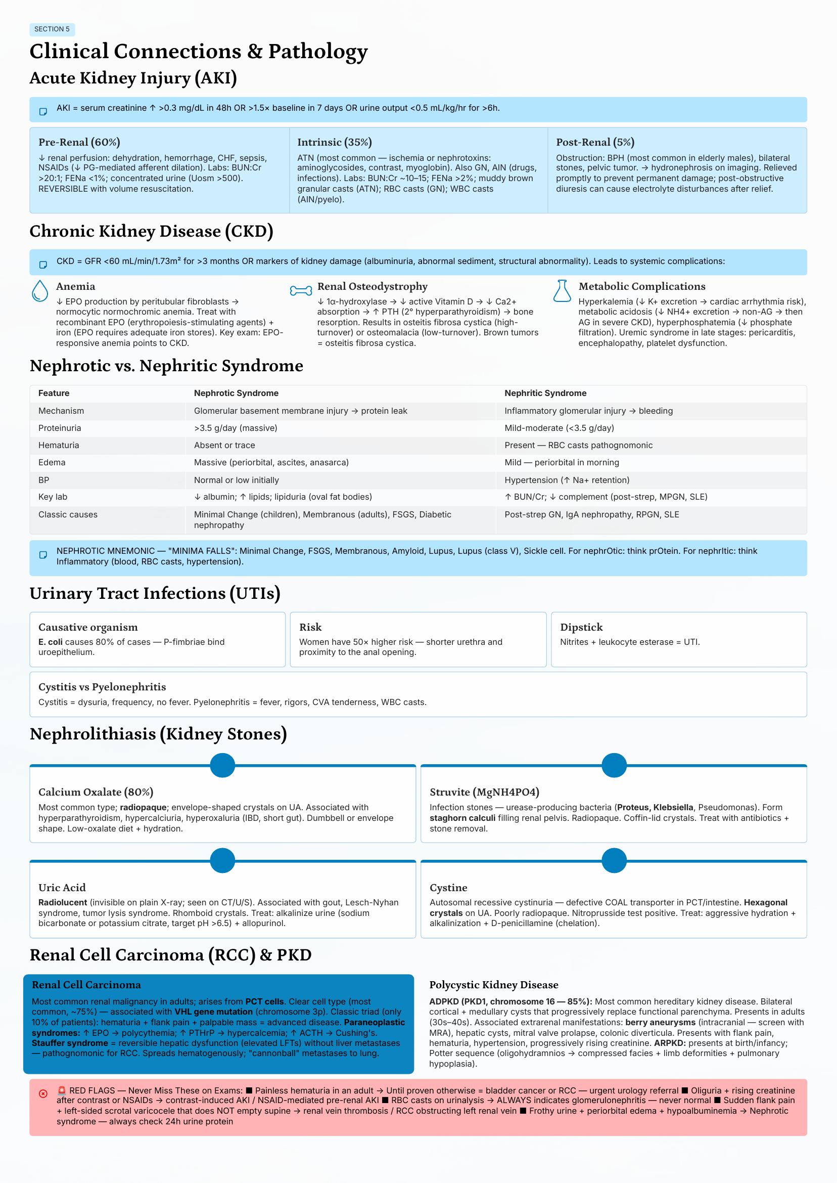Renal — Physiology & RAAS